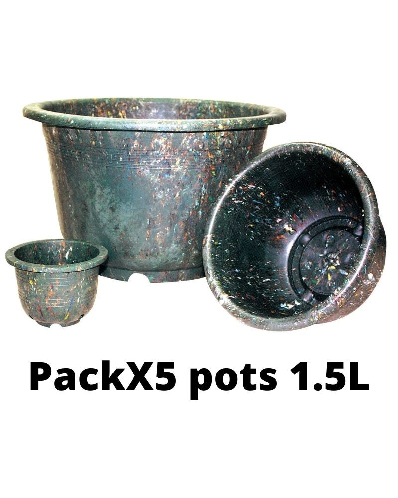 PACKX5 Pot vert 1.5L
